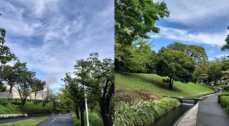 東京の東の端からわたしのウォーキング記録（2026.8.14）4