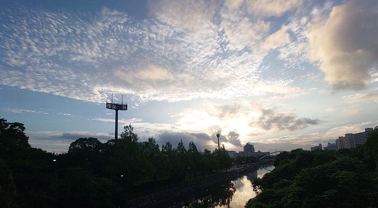 東京の東の端からわたしのウォーキング記録（2026.8.18）1