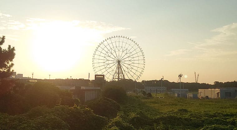 東京の東の端からわたしのウォーキング記録（2026.8.25）3
