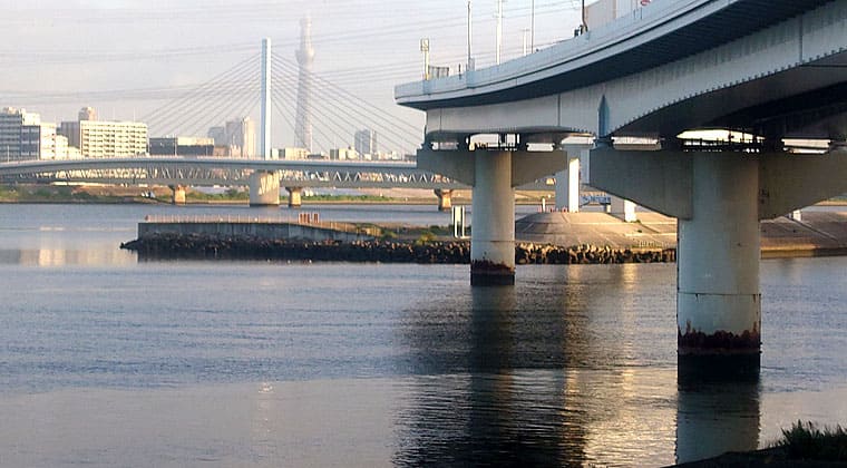 東京の東の端からわたしのウォーキング記録（2026.8.7）1