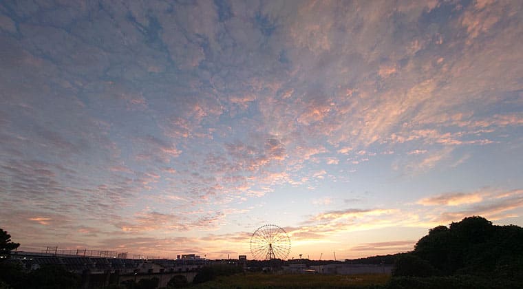 東京の東の端からわたしのウォーキング記録（2026.10.12）3
