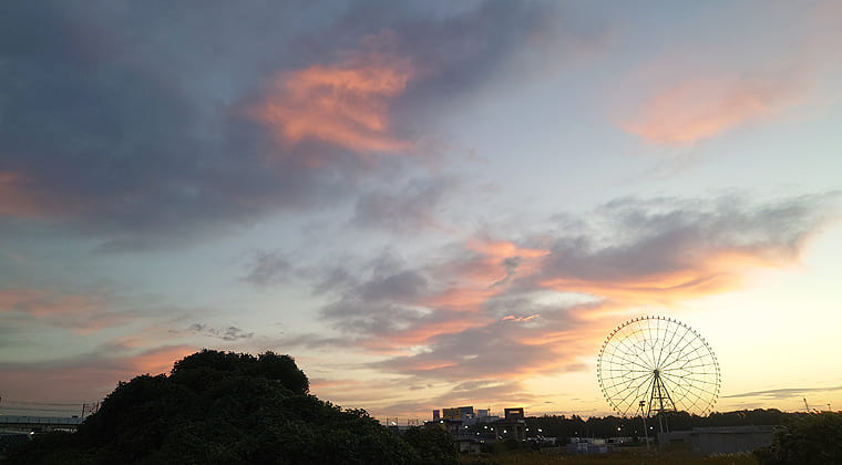 東京の東の端からわたしのウォーキング記録（2026.10.20）2